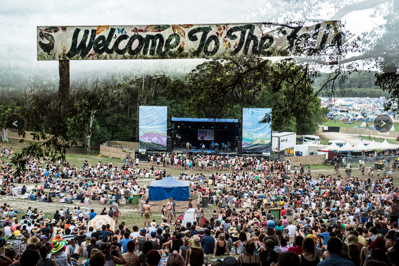 The Vine live review: Falls Festival 2013 Byron Bay, January 2014, by Andrew McMillen. Photo credit: Tim da-Rin