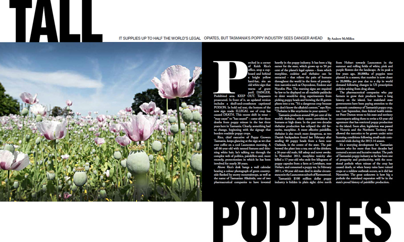  The Weekend Australian Magazine story: 'Tall Poppies: Tasmanian opiates' by Andrew McMillen, March 2015